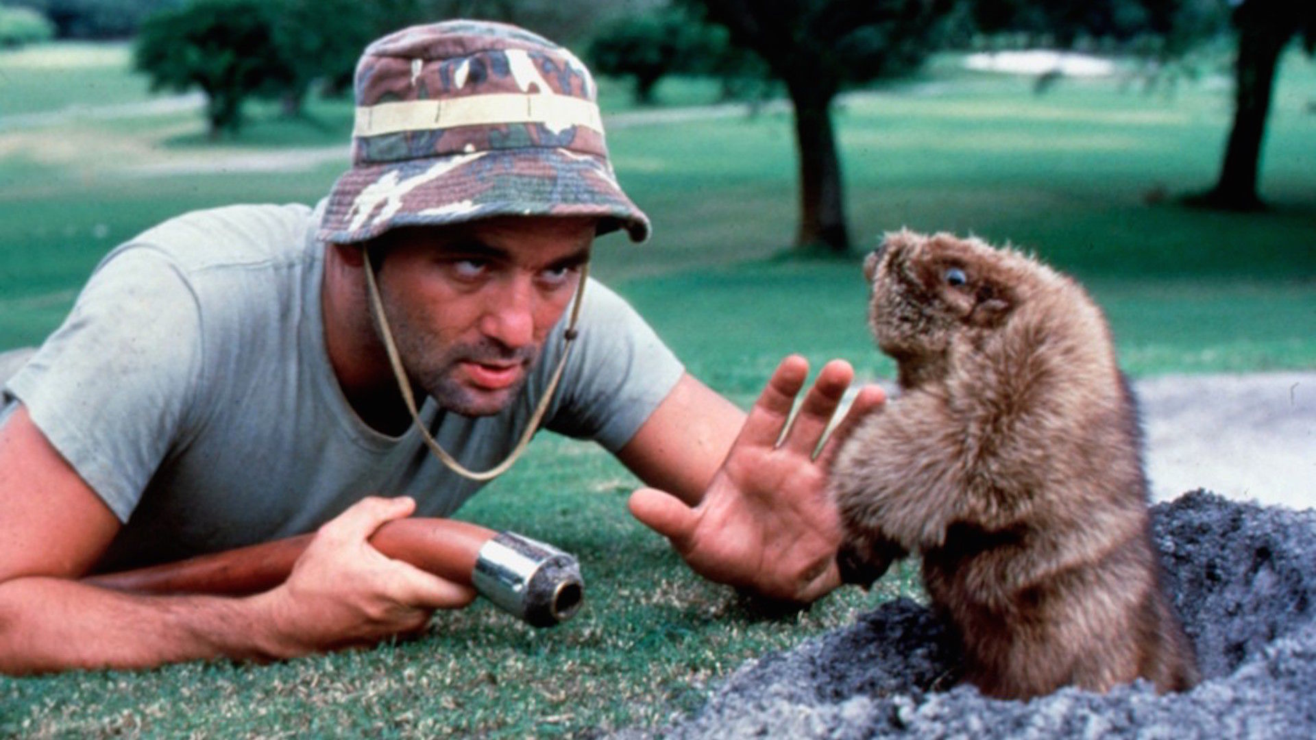 bill murray 1.jpg
